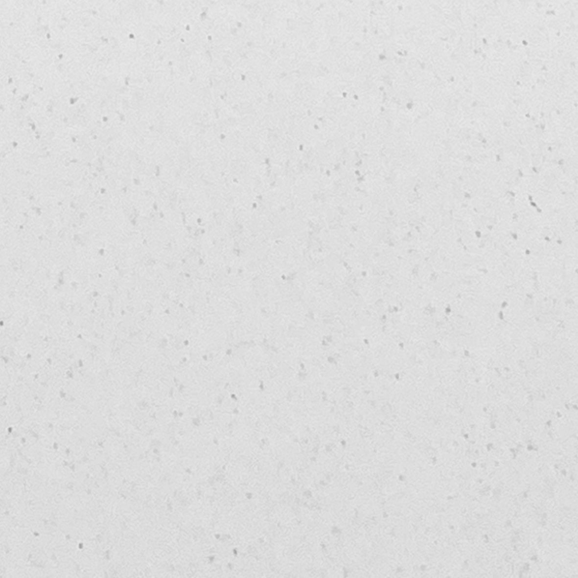 Urkundenpapier A4 (mit Logo-Prägung)